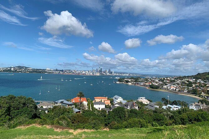 Auckland Sightseeing Half Day Tour - What Could Be Improved
