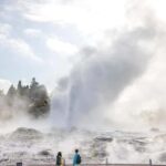 Auckland: TE PUIA Rotorua, Redwood & Blue Springs Day Tour - Practical Details and What You Should Know
