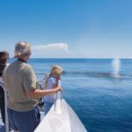 Auckland: Tikapa Moana Dolphin, Whale and Island Cruise - What to Expect from the Tour