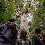 Auckland to Paihia via West Coast Small Group Tour (One Way) - The Full Experience: What You Can Expect