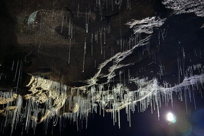 Auckland : Waitomo Spellbound Glow Worm Twin Caves Private Tour - Final Thoughts