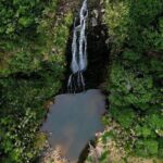 Auckland West Coast Rainforest and Beach Tour - FAQs