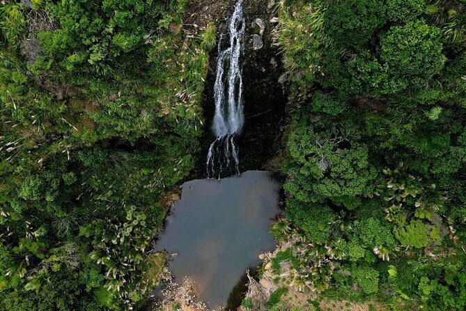 Auckland West Coast Rainforest and Beach Tour - FAQs