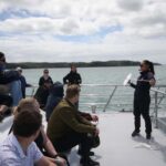Auckland: Whale and Dolphin Watching Half-Day Eco Cruise - What’s Included and Cost-Effectiveness