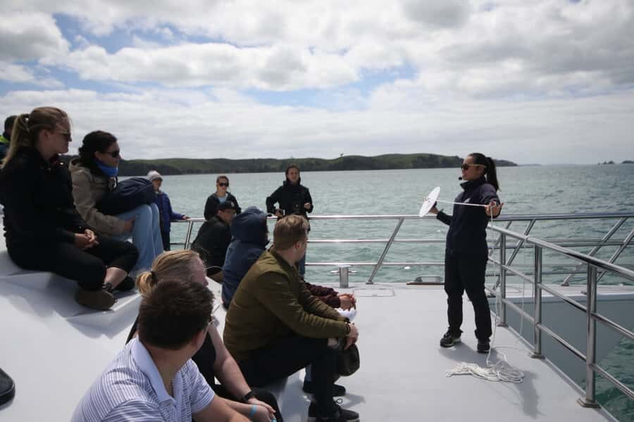 Auckland: Whale and Dolphin Watching Half-Day Eco Cruise - What’s Included and Cost-Effectiveness