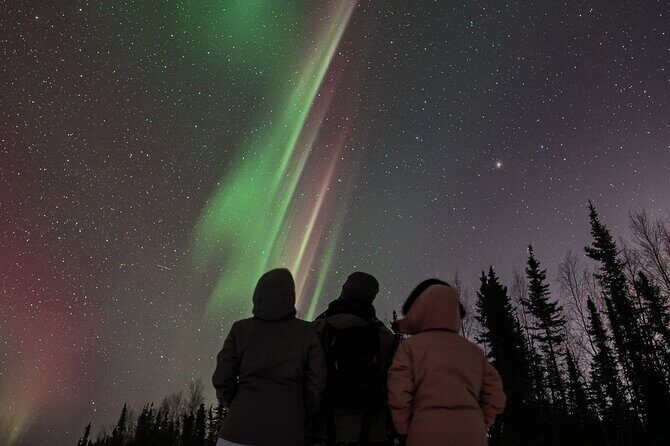 Aurora Oval Nightly Northern Lights Chase - Who Will Love This Tour?