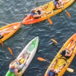 Austin: Single or Double Kayak Rental - The Experience Itself