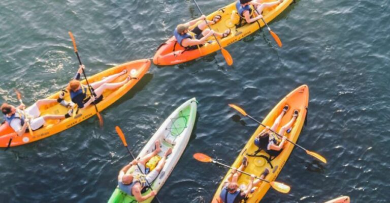 Austin: Single or Double Kayak Rental - The Experience Itself