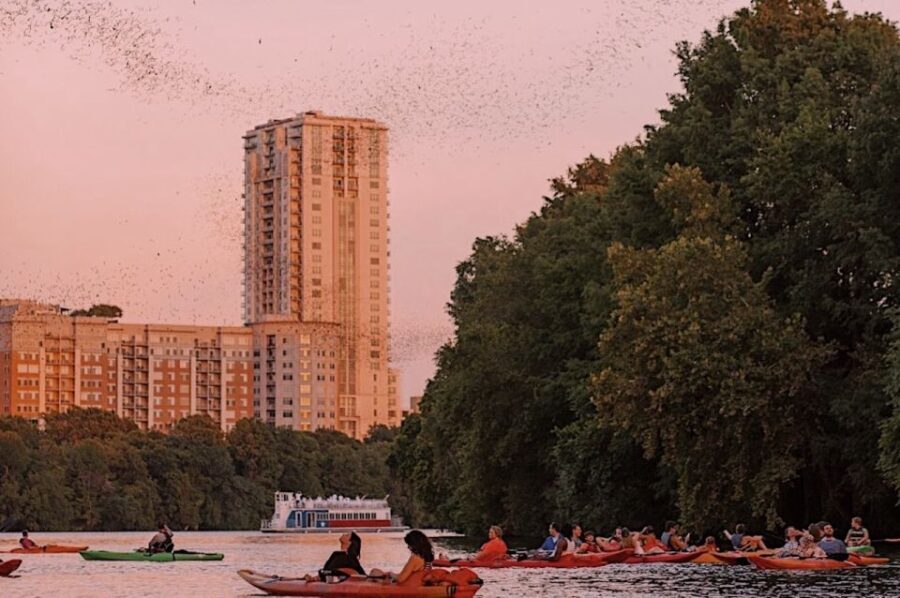 Austin: Sunset Bat Watching Kayak Tour - The Experience: What Makes It Special