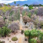 AUTHENTIC OAXACA CULTURAL FOOD TOUR, eat like a local. - Who Will Love This Tour?