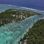 Authentic Polynesian Experience - The Bottom Line