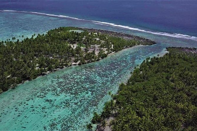 Authentic Polynesian Experience - The Bottom Line