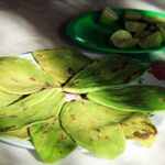 Authentic Rural Mexican Experience Adventure - What Sets This Tour Apart