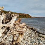 Autumn in Acadia National Park Private Leaf Peeper Driving Tour - The Experience from a Traveler’s Perspective