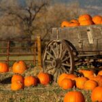 Autumn Romance Escape: A Nashville Couples' Getaway - Is It Worth the Price?