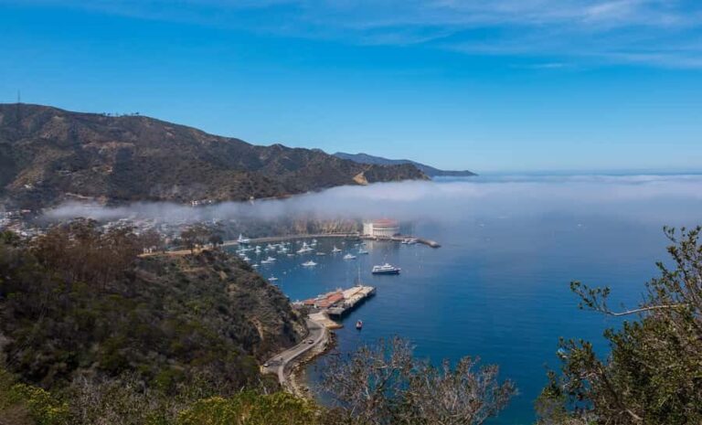 Avalon, Catalina Island: 2-Hour Inside Adventure Tour - Practical Details and Value