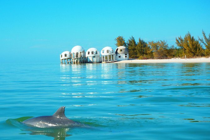 Avi's Premium Dolphin Tour by Jet Ski - Who Is This Tour Best For?