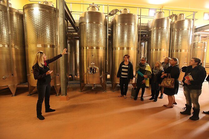 Award-Winning Hunter Valley Wine & Cheese Tour from Sydney - Price and Value