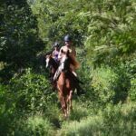 Award-winning Private Classic Horseback Ride - Authentic Feedback from Riders