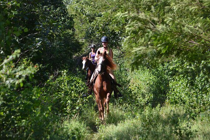 Award-winning Private Classic Horseback Ride - Authentic Feedback from Riders