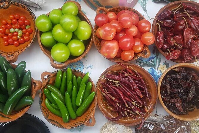 Baby sea turtles camp - Price and Value