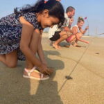 Baby Sea turtles release in Puerto Escondido - The Itinerary in Detail