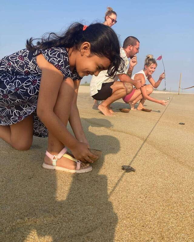 Baby Sea turtles release in Puerto Escondido - The Itinerary in Detail