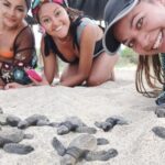 Baby Turtle Release - An In-Depth Look at the Experience