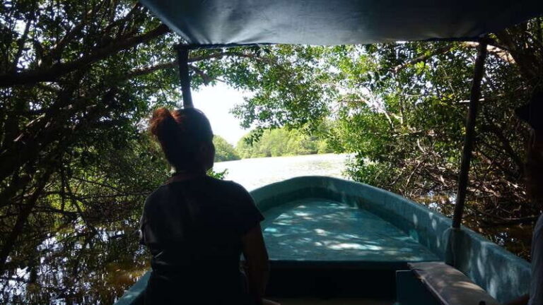 .Baby Turtle Release, Lagoon Boat Ride, and Crocodile Farm - Value and Practical Considerations