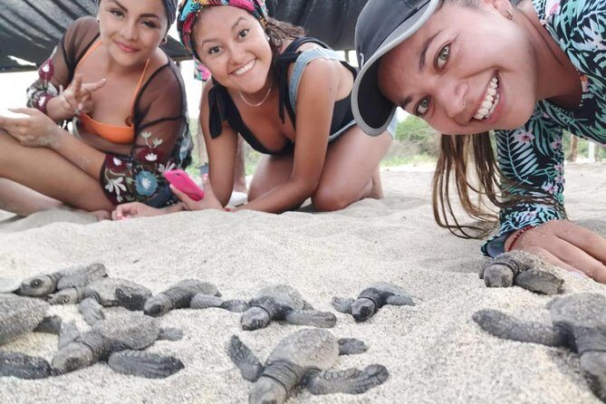 Baby Turtle Release - An In-Depth Look at the Experience