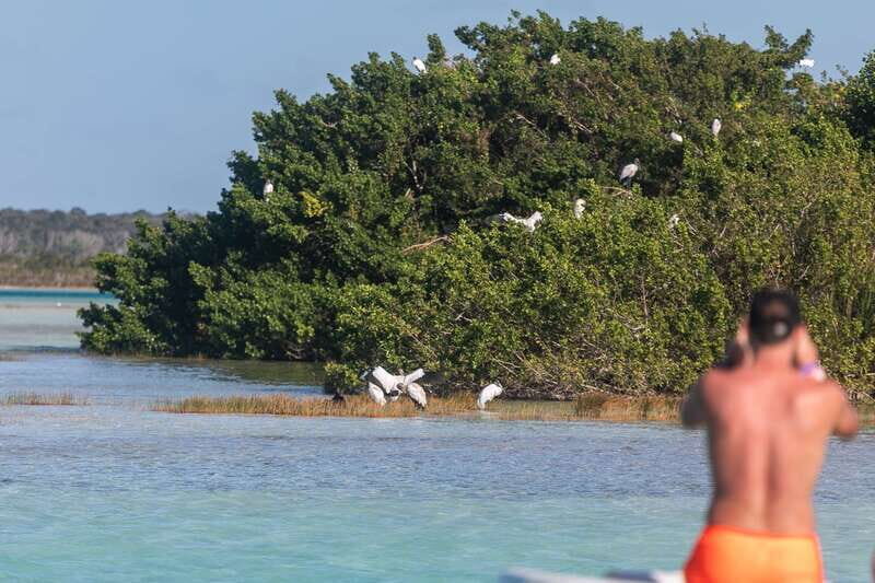 Bacalar: Full Day Kayak Rental in the Lagoon of Seven Colors - What the Reviews Say