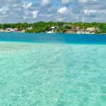 Bacalar Lake and Cenote Exploration - The Realistic Perspective: What Travelers Say