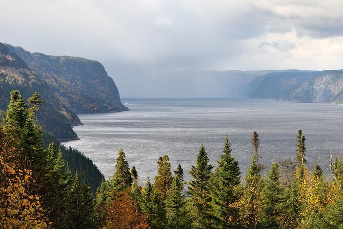 Back Country of the Fjord and the National Park - What Do the Reviews Say?