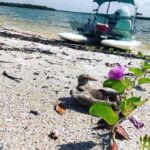 Backwater Adventure's CraigCat Tours of the 10,000 Islands - Final Thoughts