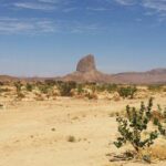 Baja Desert and Beach Electric Bike Adventure with Buffet - Final Thoughts