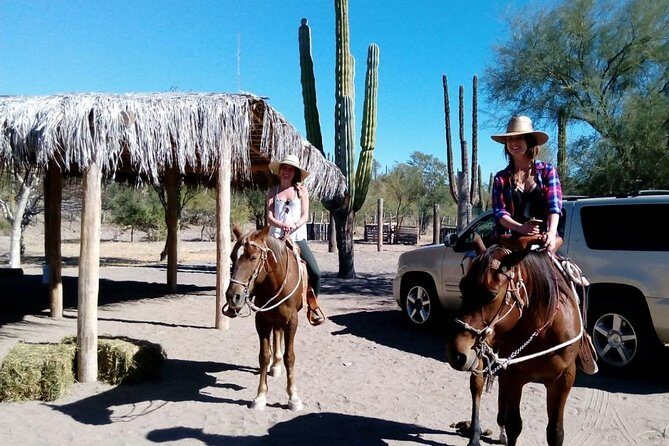 Baja Desert Horseback Riding Tour - Price and Value