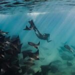 Baja Sur 4 days / 3 nights - What’s Included & What You Should Budget For