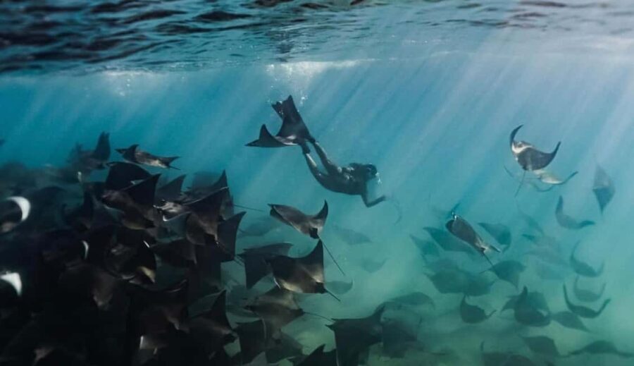 Baja Sur 4 days / 3 nights - What’s Included & What You Should Budget For