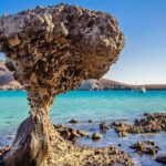 Balandra and La Paz Todos Santos and Hotel California from Los Cabos - What Could Be Better