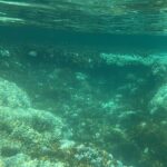 Balandra and Tecolote Beaches Day Trip with Lunch - Practical Details to Keep in Mind