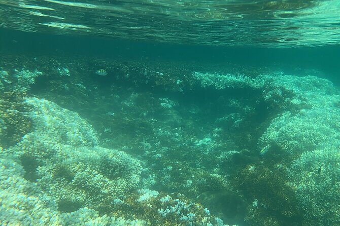 Balandra and Tecolote Beaches Day Trip with Lunch - Practical Details to Keep in Mind