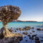 Balandra Beach Bliss Your Baja Day Adventure from Cabo - Exploring La Paz’s Malecon and Local Charm