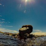 Balandra Beach Escape with Snorkeling and Wildlife Watching - An In-Depth Look at the Balandra Beach Escape Tour