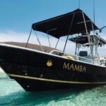 Balandra Private Boat Tour - Practical Considerations