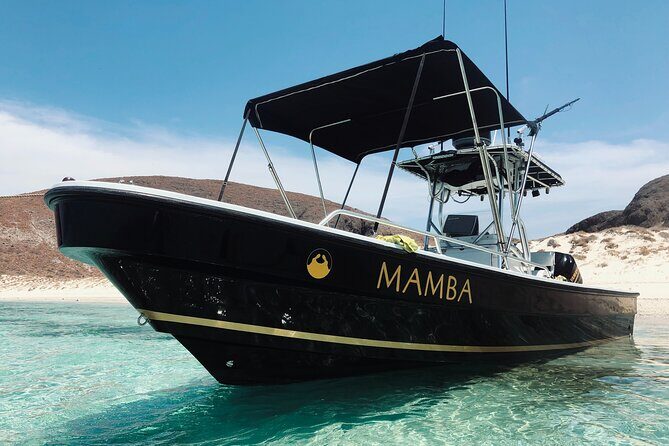 Balandra Private Boat Tour - Practical Considerations