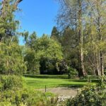 Ballard Locks Walking Activity Seattle - The Practicalities