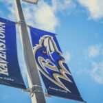 Baltimore: Ravens Football Game Ticket at M&T Bank Stadium - Ticketing and Seating Options