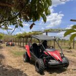 Bamboo Dune Buggy Tour - The Value and Overall Experience
