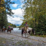 Banff: 4-Hour Sulphur Mountain Intermediate Horseback Ride - Whats Included and What You Should Know