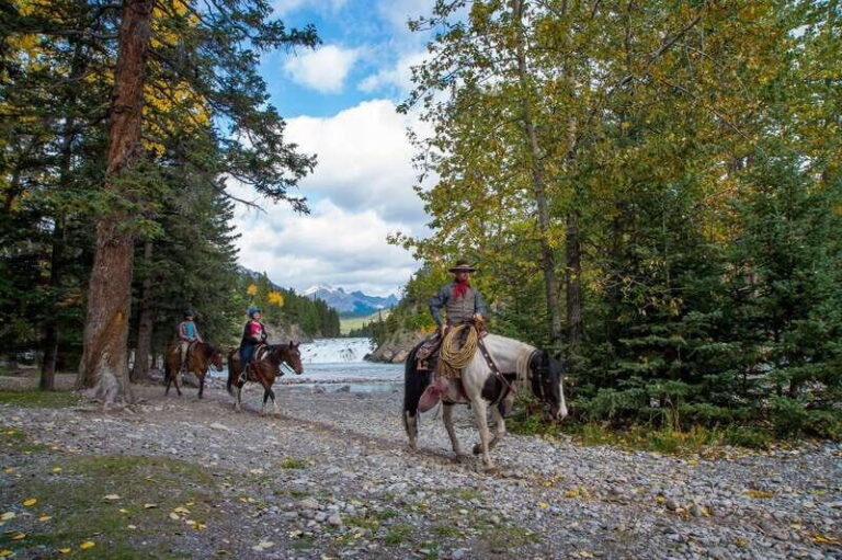 Banff: 4-Hour Sulphur Mountain Intermediate Horseback Ride - Whats Included and What You Should Know
